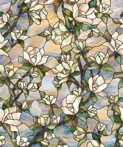 Star Magnolia